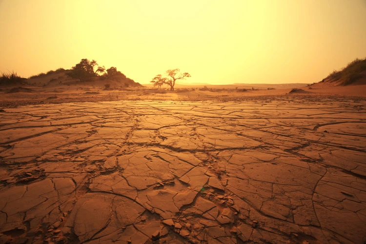 Dead valley in Namibia