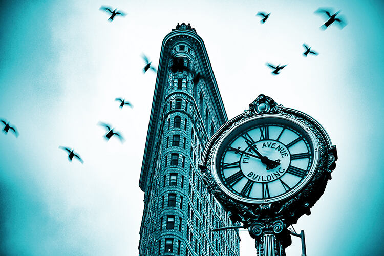 Birds flying around 
the iconic Flatiron 
Building in New York