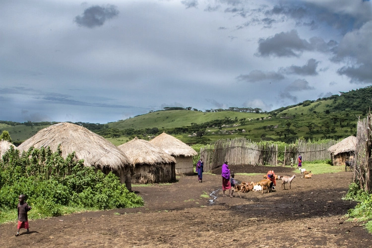 Ngorongoro Conservation area - Tanzania/ March 2016: general view of Masai boma with locals and mud huts and wooden fences.