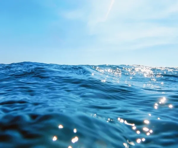 Ocean surface temperatures reach record highs for June
