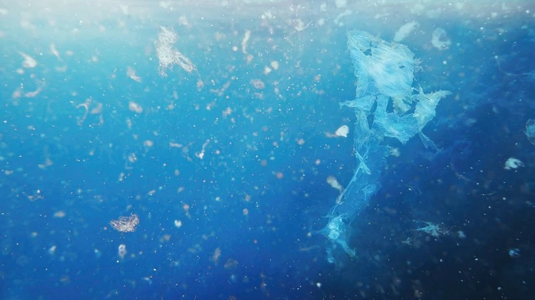 Detailed photography of sea water contaminated with micro plastic.