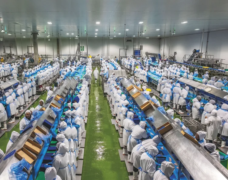 Workers in a Namibian hake processing plant