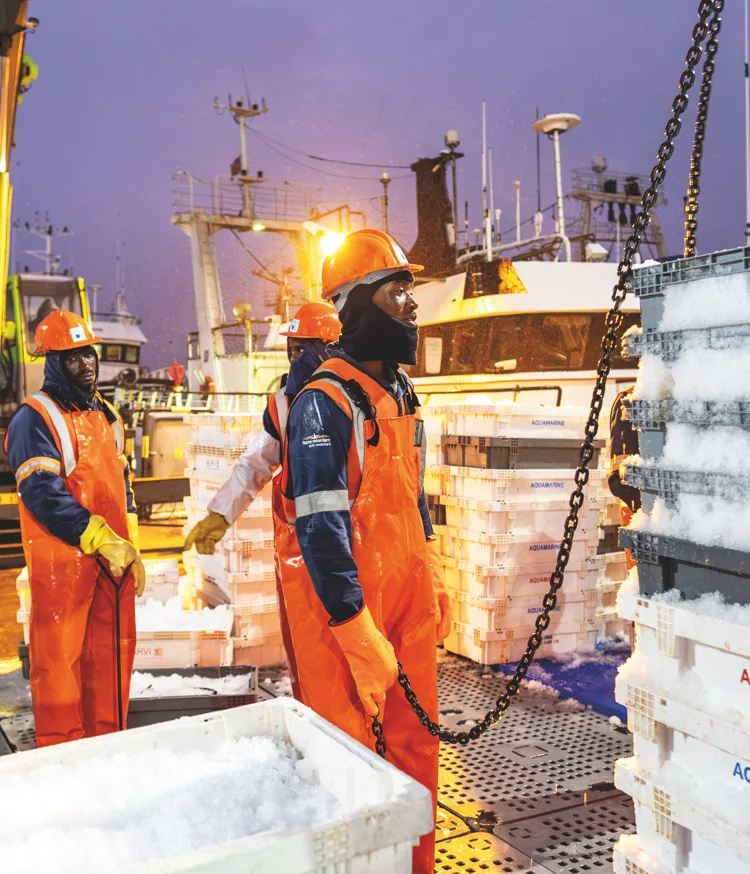 Workers offloading a catch of hake from a longliner