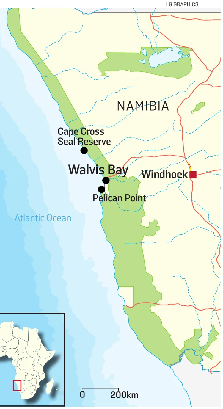 Map of Namibia's coast showing Walvis Bay, Pelican Point and the Cape Cross Seal Reserve