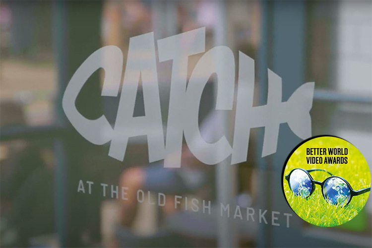 Catch at the old fish market better world video awards