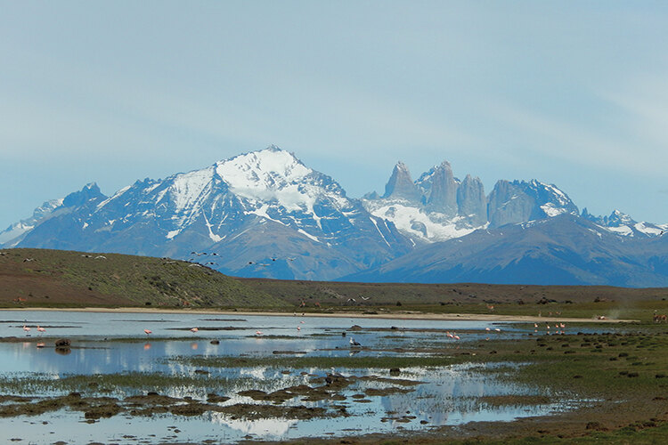 A lake with flamingos in the shadow of Torres del Paine