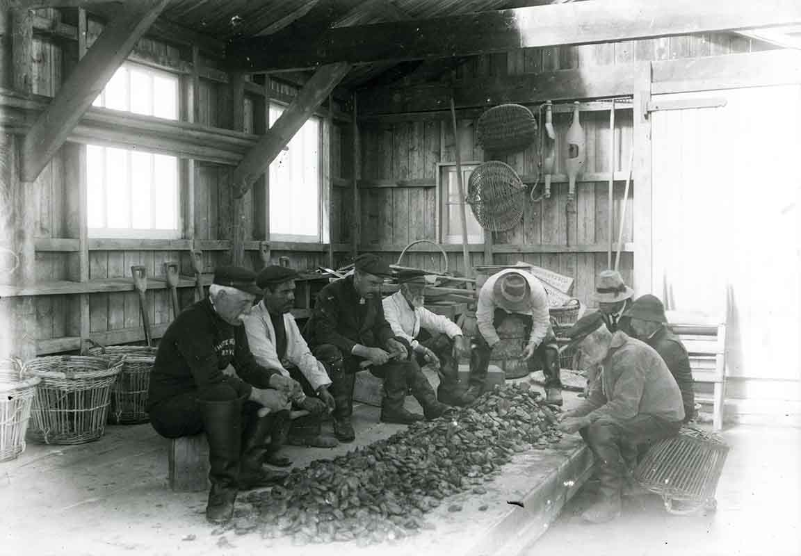 A black and white photo of men cleaning oysters