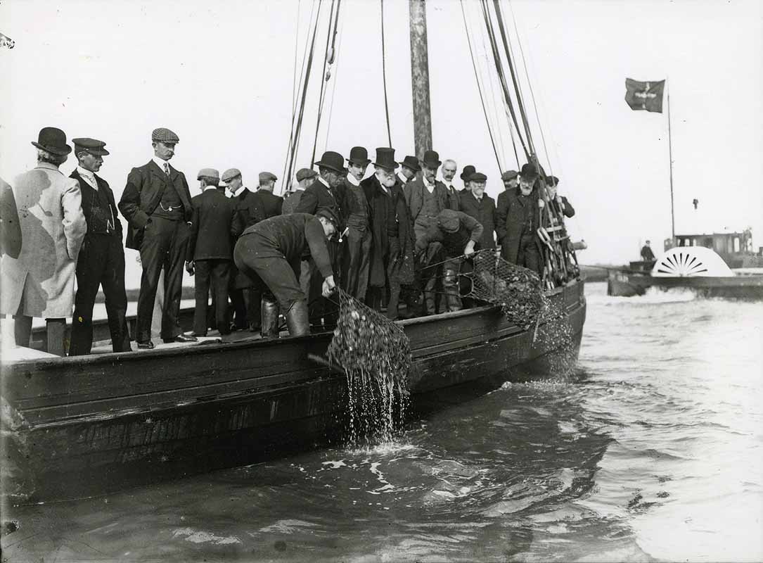 Black and white photograph of oyster harvesters on a boat