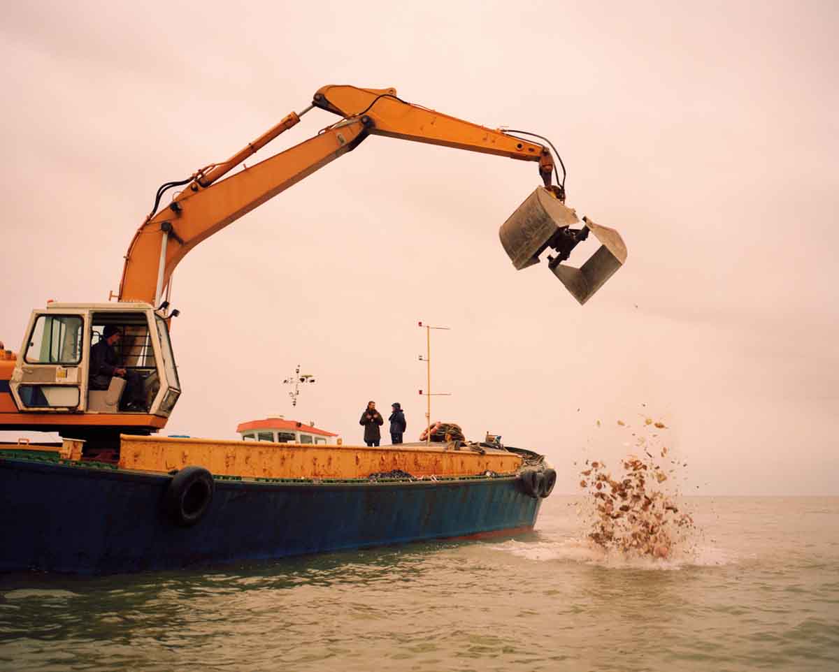 Oysters are dropped into the water as part of an oyster reef restoration project