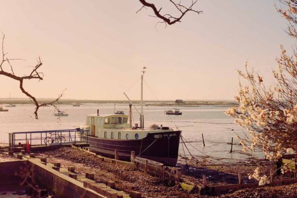 Restoring oyster reefs to protect English waters