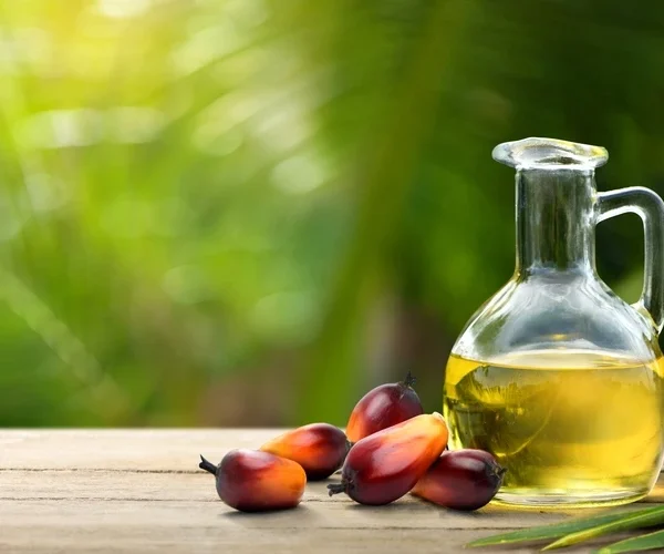 Geo explainer: What is palm oil – and how does sustainable palm oil stack up?