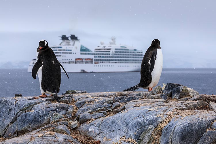 Tourism visitor numbers in Antarctica have risen to over 100,000 a year