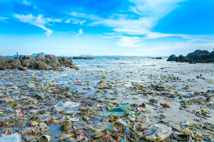 Trash, plastic cups and plastic bags at the beach.