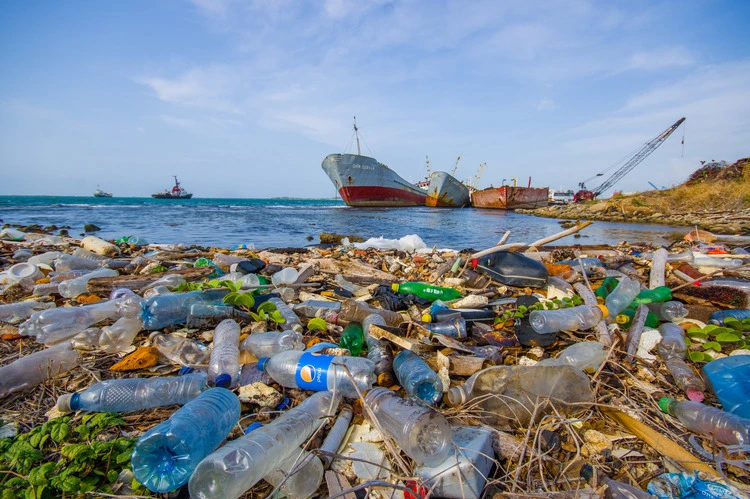 COLON, PANAMA - APRIL 15, 2015: Enviromental Pollution washing ashore next to the Panama Canal in the beach