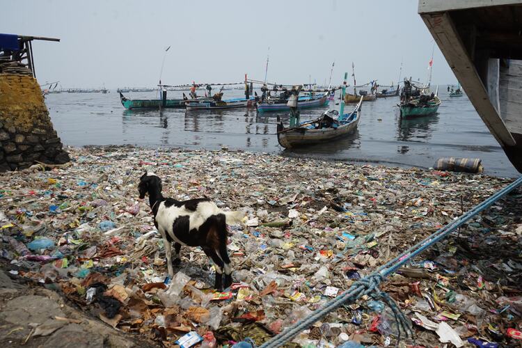 Plastic pollution Indonesia