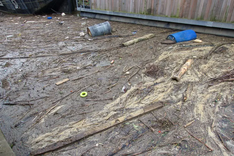  Pollution in the river Thames at Hammersmith, London