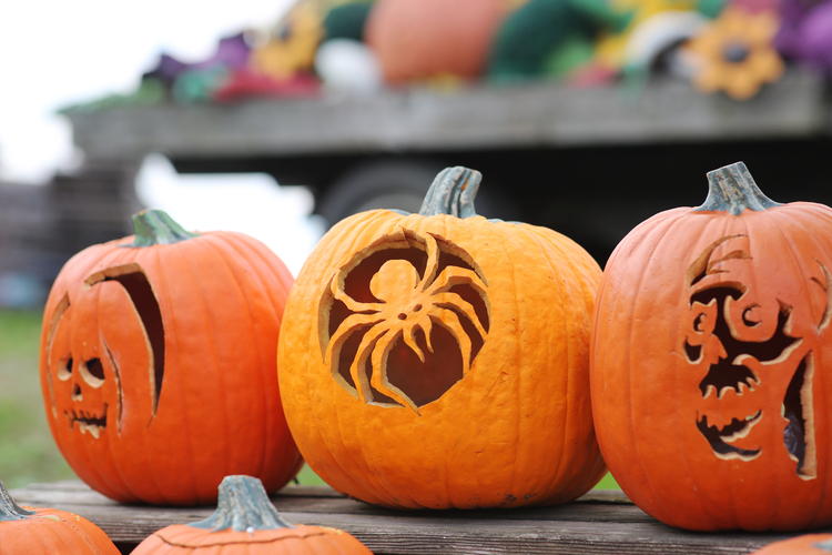 Halloween pumpkins