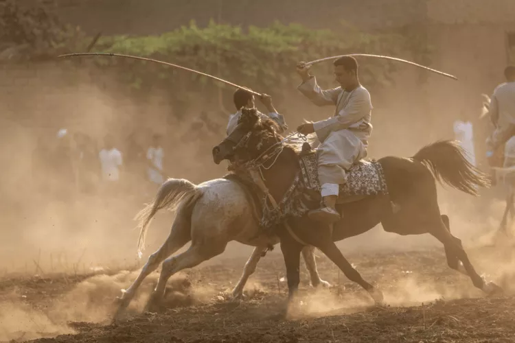 Riders of Dandara