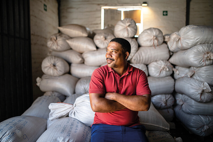 Collin Swartz, who overseas quality control at the Wupperthal Original Rooibos Co-operative