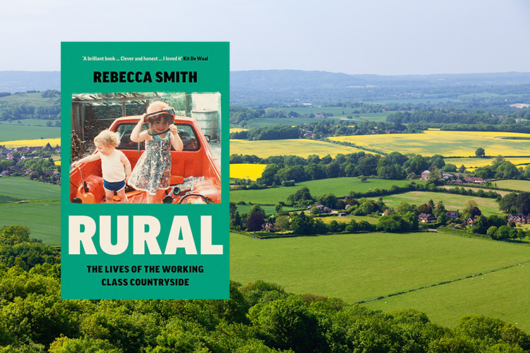 english rural landscape with grazing sheep and yellow rapeseed fields as viewed from South Downs hill in Sussex, Southern England, UK