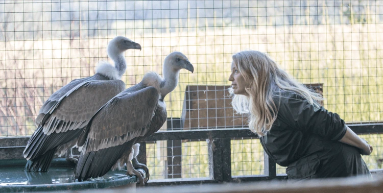 Sacha Dench with vultures.