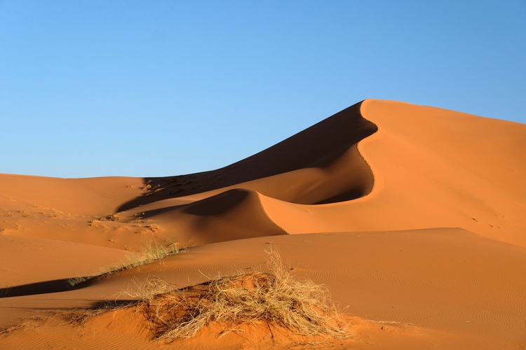 View of Sahara sand dune in Morocco.