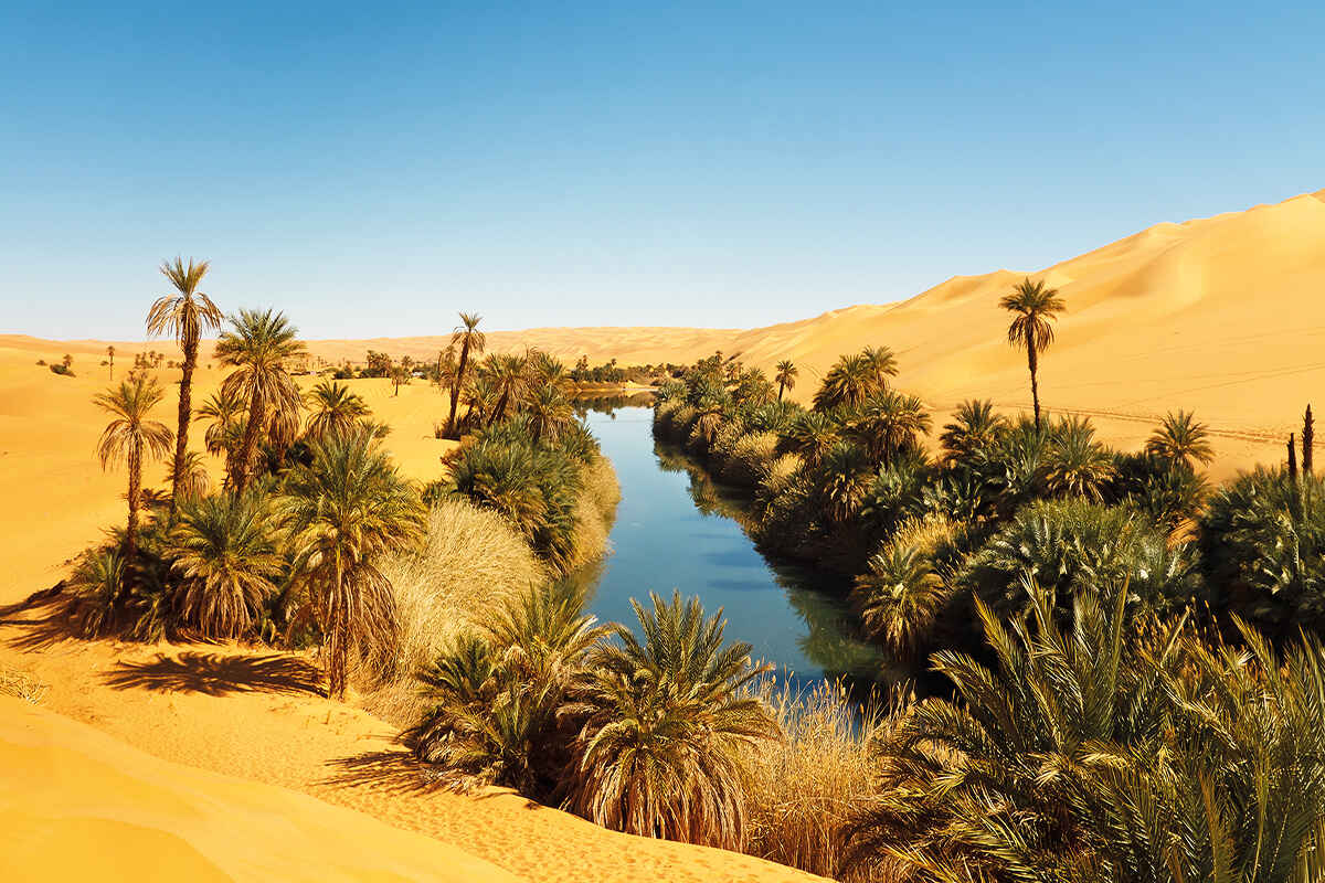 An oasis in the Sahara desert in Libya