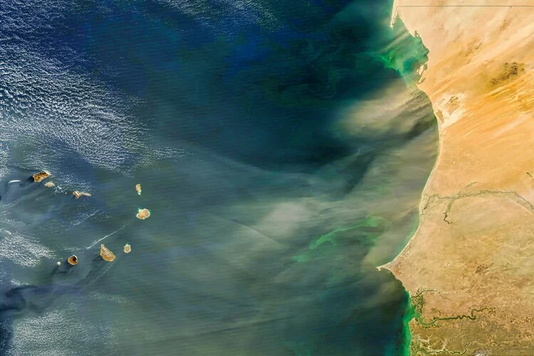 Saharan dust can help marine life – here’s how