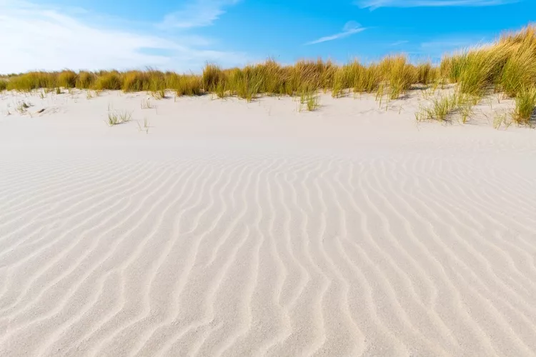 Sand ripples and dunes by the North Sea, Oostende, Belgium.