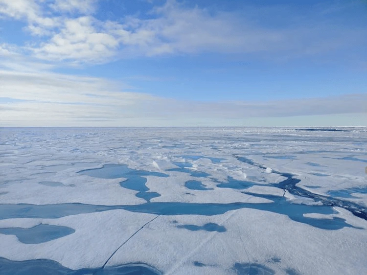 Arctic sea ice is melting at an unprecedented rate. 