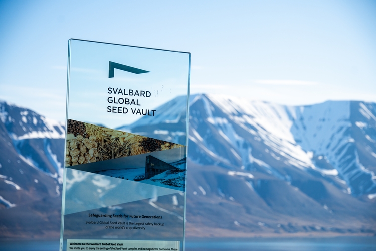 Longyearbyen seed vault