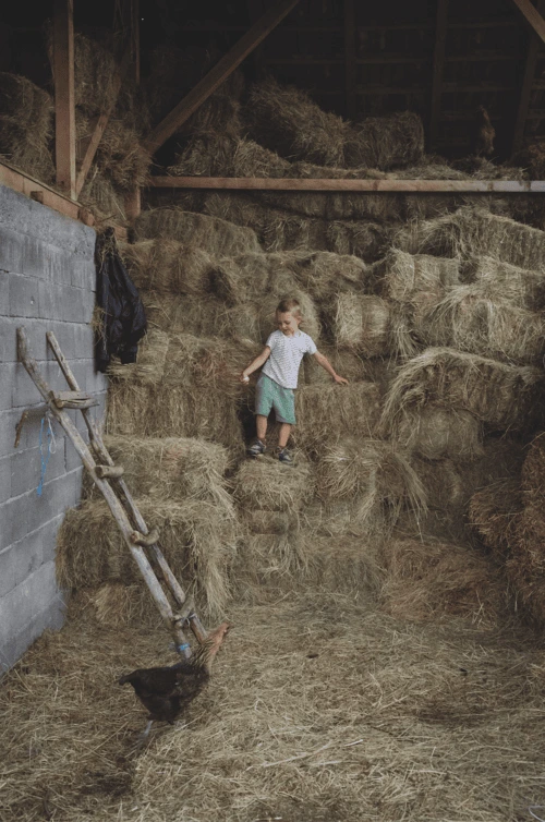 A young Serb boy plays in the barn of the family farm in Bušince