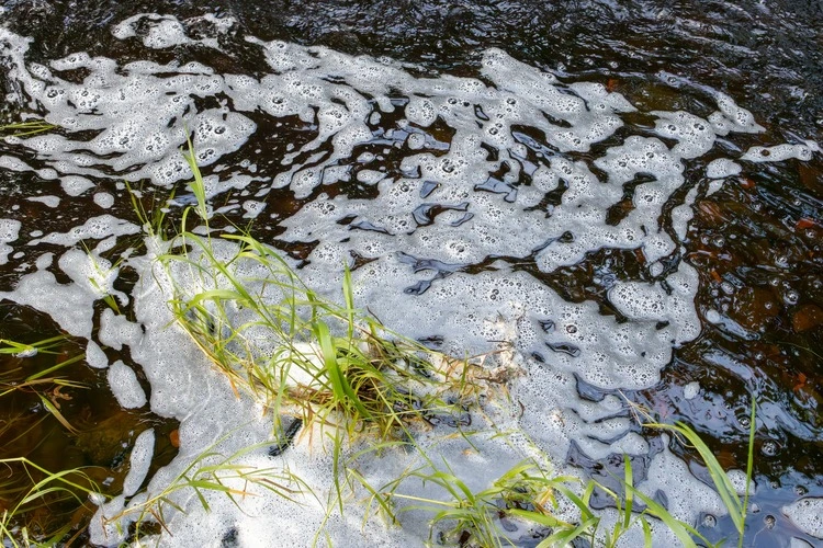 River with white foam caused by pollution or sewage runoff into water with grass at edge of stream