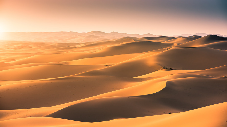 Gobi desert