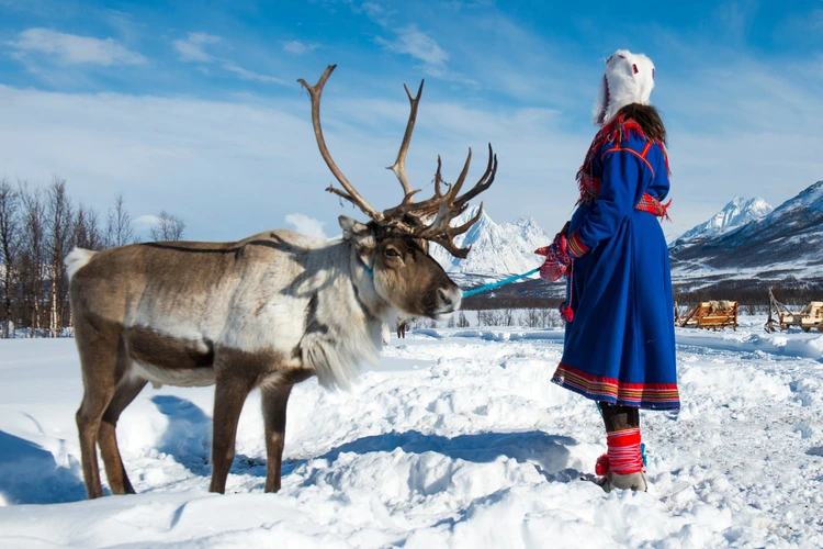 Sámi woman in traditional dress tending to a reindeer in Norway