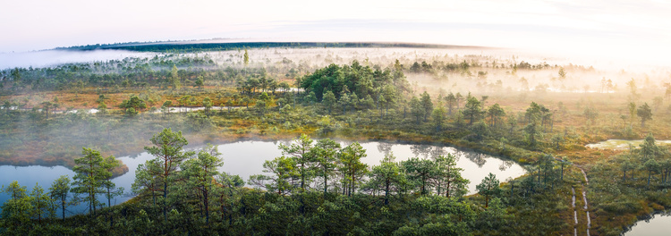 Swampland in Latvia