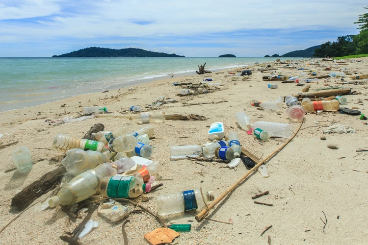 Dirty sea sandy shore the South China Sea.