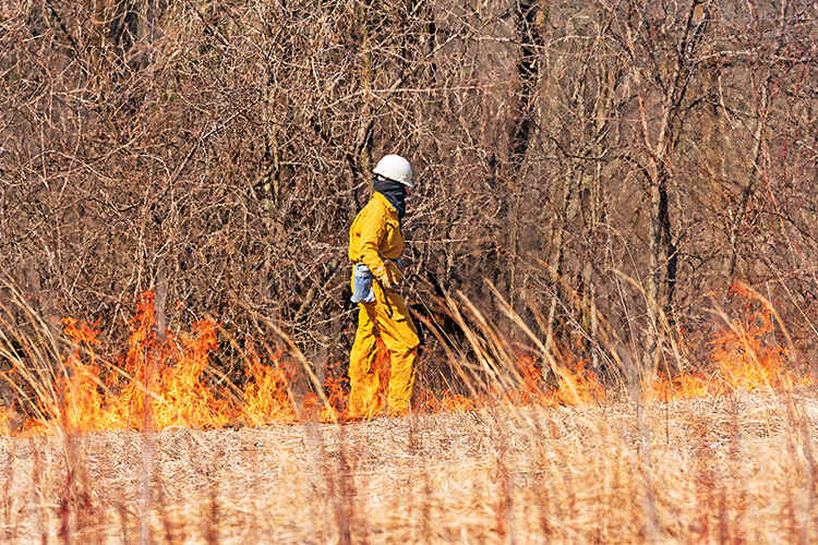 A controlled burn in an Illinois nature reserve