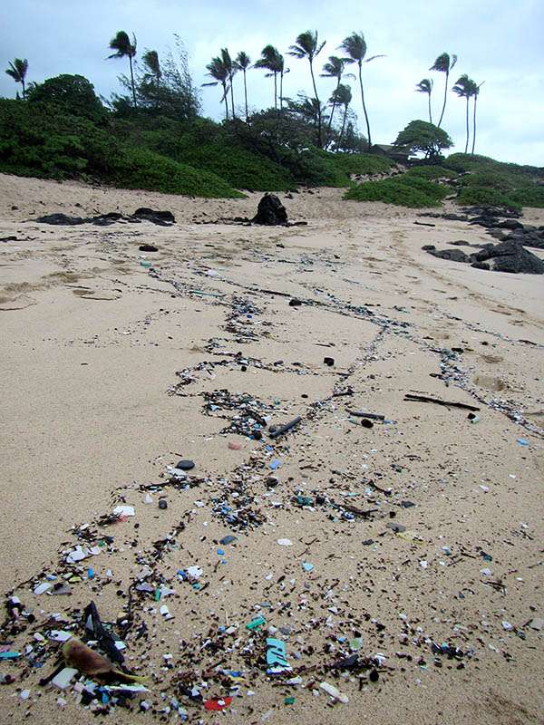 Microplastic pollution on beach in Hawaii, Makapuu beach