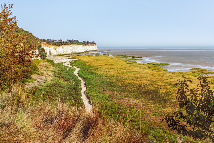 Pegwell Bay Nature Reserve in Kent
where an undersea cable will join a
vast new convertor station