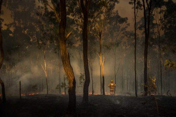 Drought may pose a bigger threat to Australia’s forests than bushfires ...