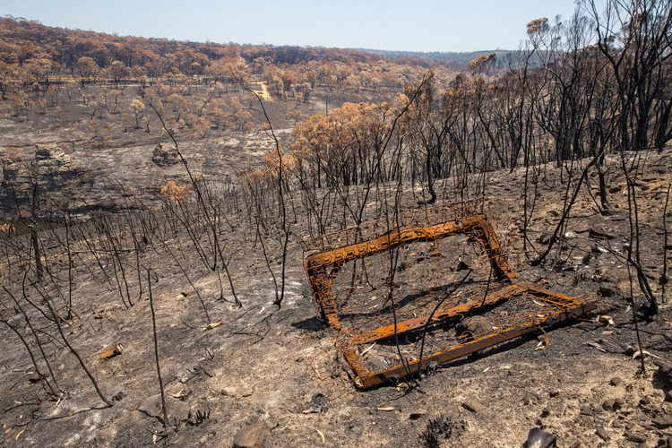 Effects of bushfires in Australia's Blue Mountains,