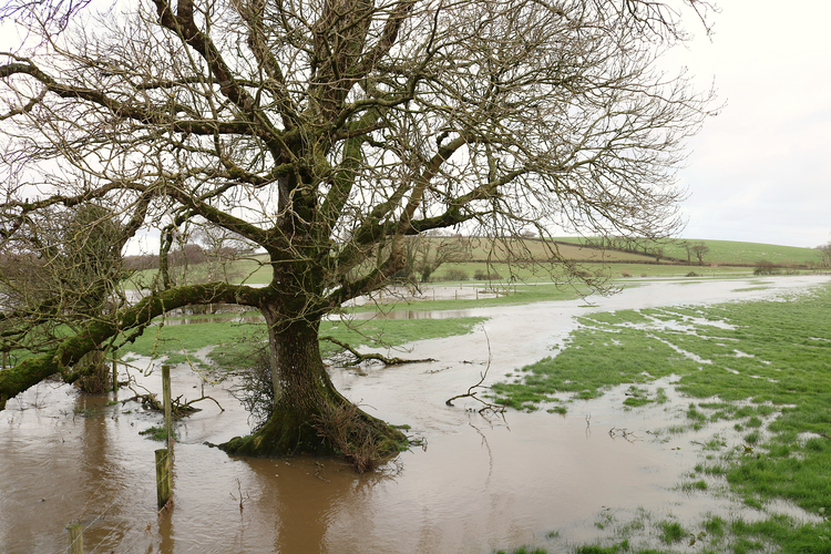 A view across flooded farmland after downpours cause rivers to burst their banks. 