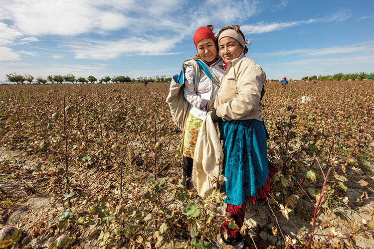 Cotton pickers in Uzebekistan