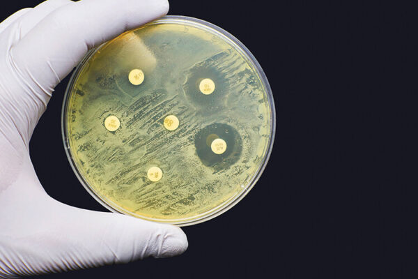 The Looming Crisis Of Antimicrobial Resistance Geographical