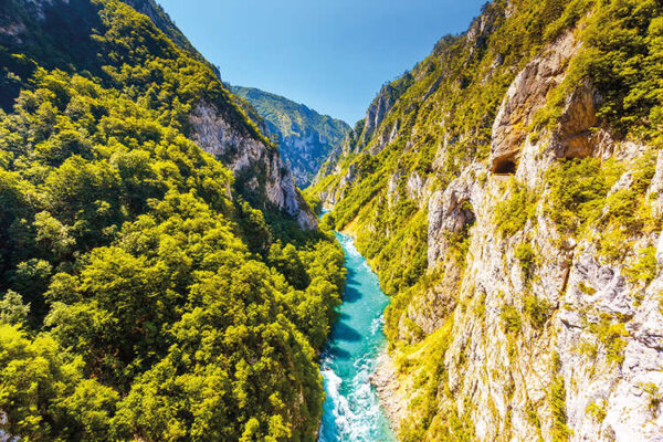 A river running through a leafy green rocky canyon