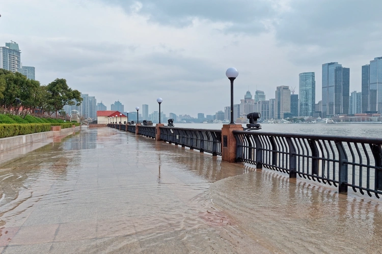 Coastal cities under threat as flood risks increase, study finds