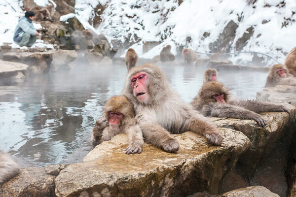 Where In The World - Hot Springs - Geographical