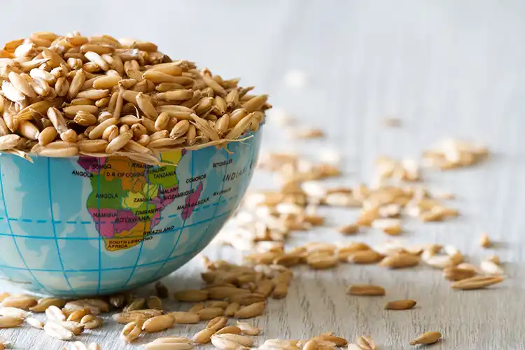 A globe full of grain