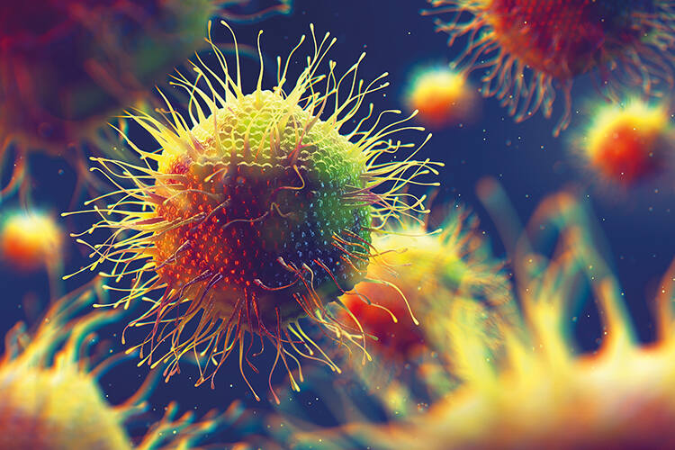 A 3D illustration of a mimivirus